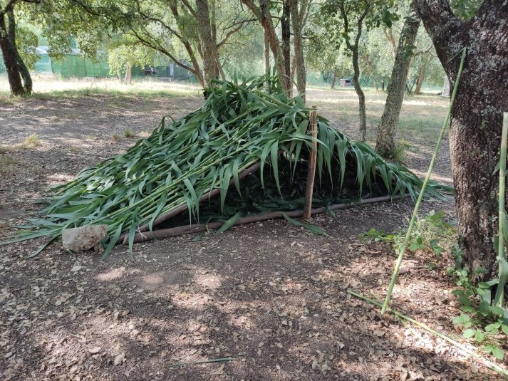 construção em ambiente natural resultante de exercício de pensamento estratégico 
